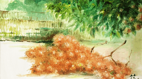 Rambutans
