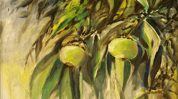 Mangosteen Tree