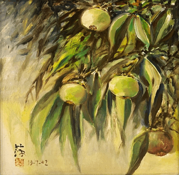 Mangosteen Tree