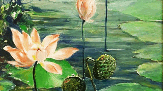 Lotus Blooms