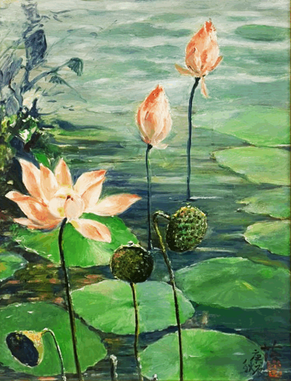 Lotus Blooms