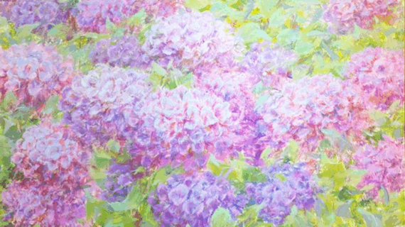 Hydrangea Dreams