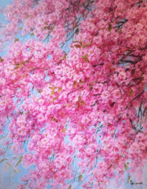 Sakura Sky