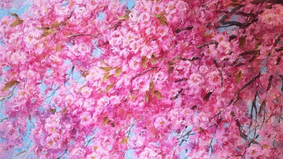 Sakura Sky