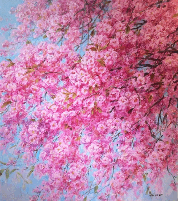 Sakura Sky