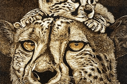 Wild Bond